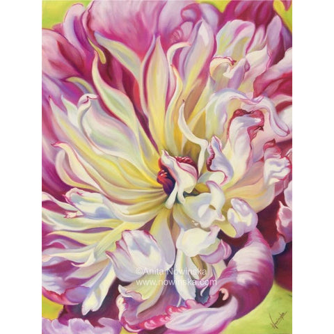 ‘Scintillation’- Pink & Cream Flower painting print