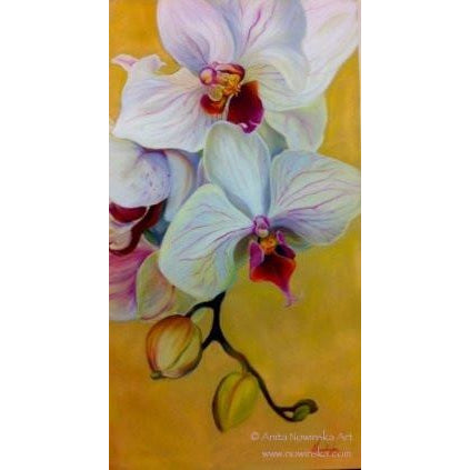 Orchids- Flower painting- original framed pastel- white, pink, ochre