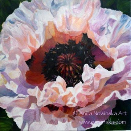 white, pink poppy flower painting by Anita Nowinska
