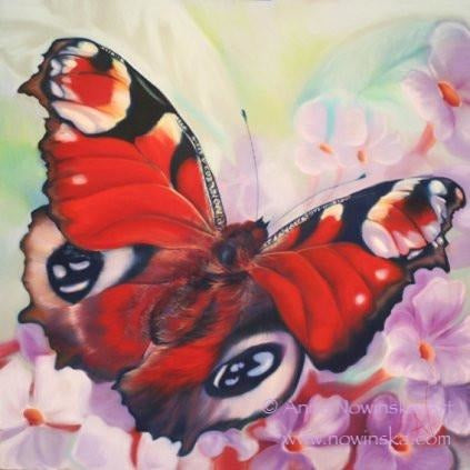 summertime-peacock butterfly-anita nowinska-painting, greetings card