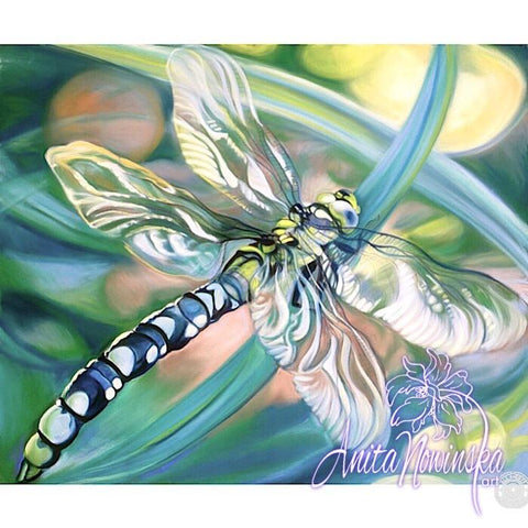 'Transformation'- Turquoise Dragonfly