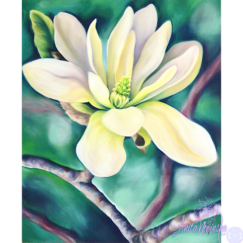 Elegance- White magnolia Flower Painting