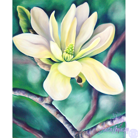 Elegance- White magnolia Flower Painting